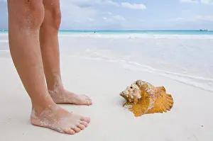 Body Part Prints: Legs and Conch shell washed up on Tulum Beach, Quintana Roo, Mexico
