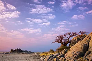 Rural Prints: Lekhubu (Kubu) Island. Sowa Pan. Makgadikgadi Pans. Botswana