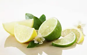 Colourful Prints: Lemon & Lime, Citrus limon & citrus aurantiifolia