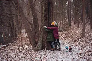 Asian And Indian Ethnicities Prints: Lesbian couple hug a tree together with small dogs in winter germany