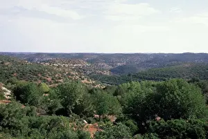 Libya Prints: Libya, Near Benghazi, Jabal Al Akhdar Mountains (Green Mtns)