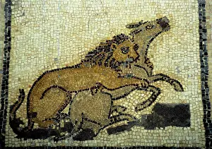 libya, near benghazi, ptolemais (tolmeita), museum, roman mosaic, lion