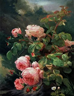 Paintings And Illustration Prints: Still Life of Pink Roses Alexandre Debrus (1843-1905)