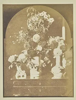 1887 Prints: Still Life - Three Vases of Flowers; Hippolyte Bayard (French)