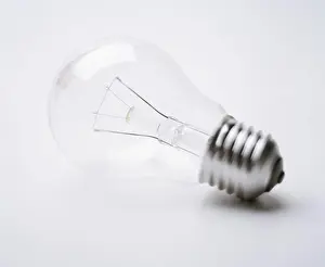 Pure Prints: A lightbulb