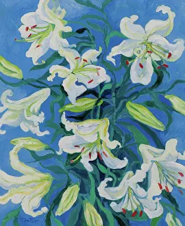 In Bloom Prints: Lilies by Josephine Trotter, 2012. (b.1940/British)