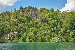 Australasia Prints: Limestone rock face, forested island in the Dampier Strait, West Papua, Indonesia, Asia