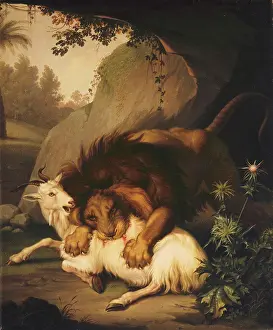 Oil On Canvas Prints: A Lion attacking a Goat. Wenzel Peter (1745-1829)