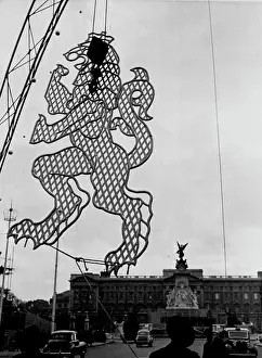 Preparations Prints: A lion, made of glittering gold and silver tubing
