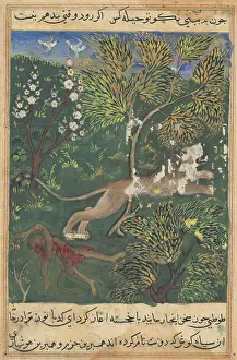 Court Prints: The lion, suspecting treachery on the part of the monkey