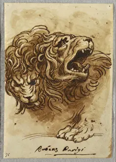 Brown Ink Prints: Two Lion's Heads, Felice Giani