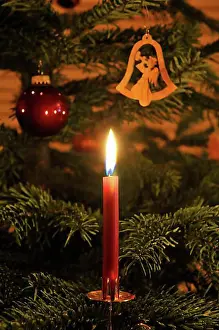 Lighted Prints: Lit candles on a Christmas tree