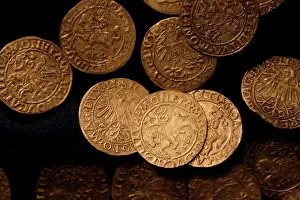 Human Representation Prints: Lithuania, Trakai, Trakai Castle, 16th century coins in museum