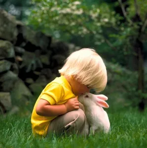 Fondness Prints: Little, blonde boy kneeling down over and kissing a white bunny rabbit on its nose while in the grass