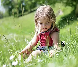 4 5 Years Prints: Little girl sitting in a flower meadow, Upper Bavaria, Bavaria, Germany, Europe