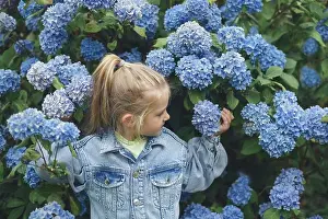 Endless Prints: A little girl smelling a blue hydrangea