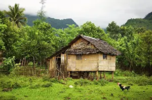Hills Prints: Little house on polls and garden in rural village outside of Calapan City, Philippines