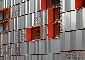 Primary School Prints: The Livity School, London, United Kingdom