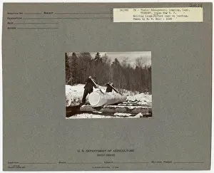 Logging Camps and Crews - Vermont