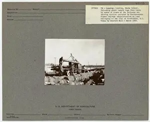 Logging: Loading Logs - Rhode Island
