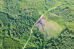 New England Prints: Logging roads and wetlands in the Cold Stream watershed in industrial timberland in Maine's Northern Forest