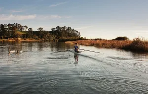 Kayak Prints: Rower