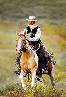 Level Prints: lonely cowboy with old fashioned mustache rides his beautiful horse through a colorful field of wildflowers