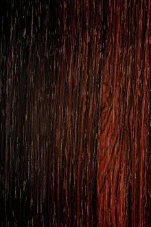 Wood Material Prints: Longitudinal section of Brazilian rosewood (Dalbergia nigra) synonyme : Bahia Rosewood