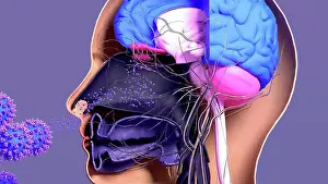 Disorder Prints: Loss of smell in Covid-19, illustration