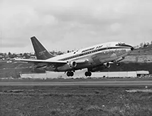 Runway Prints: Low angle view of an airplane taking off, Boeing 737, Seattle, Washington State, USA