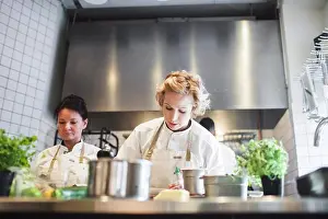 Chef Prints: Low angle view of female chefs working at kitchen counter in restaurant