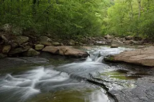 Calm Prints: Low water in Haw Creek, Fort Douglas