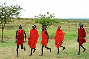 Tribe Prints: Maasai warriors perform welcome dance Masai Mara Tribal village Kenya East Africa