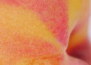 Ingredient Prints: Macro photography of the skin of an organic peach