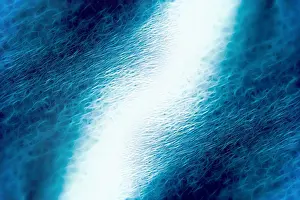 Textile Prints: Macro shot of a blue and white filamentous surface