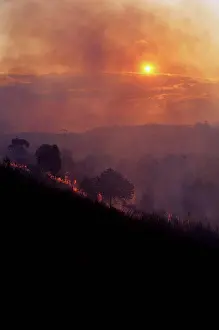 Flames Prints: Madagascar, Near Mantasoa, Farmers Burning Land