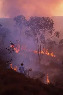 Flames Prints: Madagascar, Near Mantasoa, Farmers Burning Land