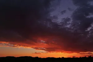 Northwest Province Prints: Madikwe Game Reserve. North West Province