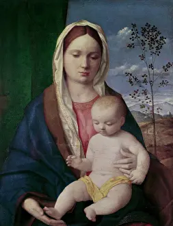 Madonna Prints: Madonna & Child #2 Bellini, Giovanni(ca.1430-1516 Italian)