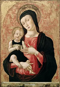 Madonna Prints: Madonna and Child Bartolomeo Vivarini (Ac.1450-1499/Venetian) Correr Civic Museum, Venice