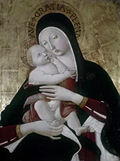 Father Prints: Madonna and Child by Benvenuto di Giovanni (Guasta)