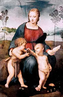 Madonna Prints: Madonna del cardellino or Madonna of the Goldfinch