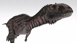 Toughness Prints: Majungasaurus dinosaur, white background