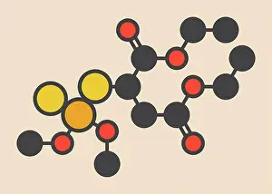 Composition Prints: Malathion insecticide molecule