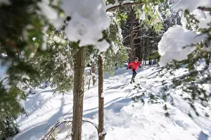 Sun Light Prints: A male athlete trail running on a winter day
