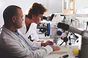 Worked Prints: Male and female scientists using microscope in laboratory