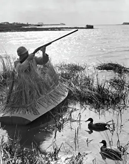 Swimming Animal Prints: Male hunter aiming a rifle