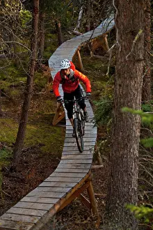 Bicycle Prints: A male mountain biker enjoying perfect fall weather and singletrack in Whitehorse, Yukon