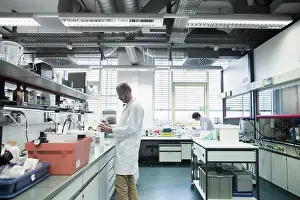 Place Of Work Prints: Male scientists working in a pharmacy laboratory