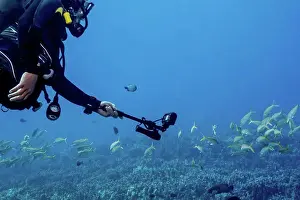Large Group Prints: A male scuba diver wearing a wetsuit from Big island Divers is using a selfie stick with his underwater camera to get
